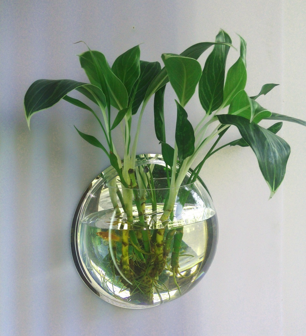 Propagation Station Vase - Szklana szklarnia ścienna do roślin, stacja