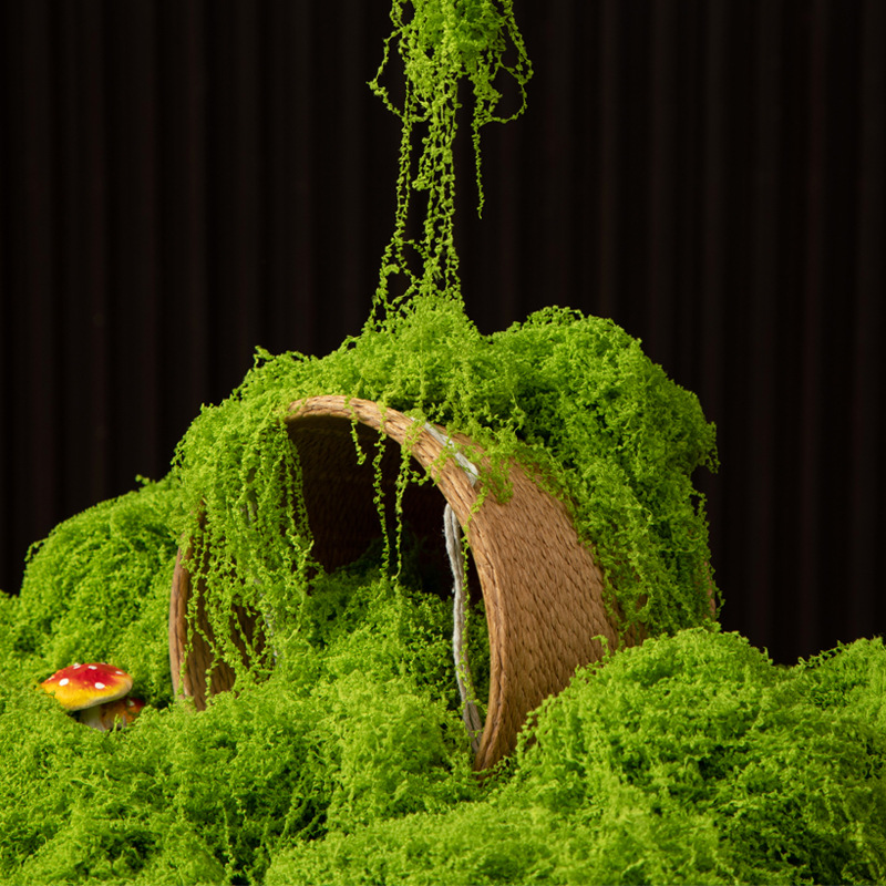 Sphagnum Moss Dry - 200g Mech Wiecznego Życia DIY Rękodzieło