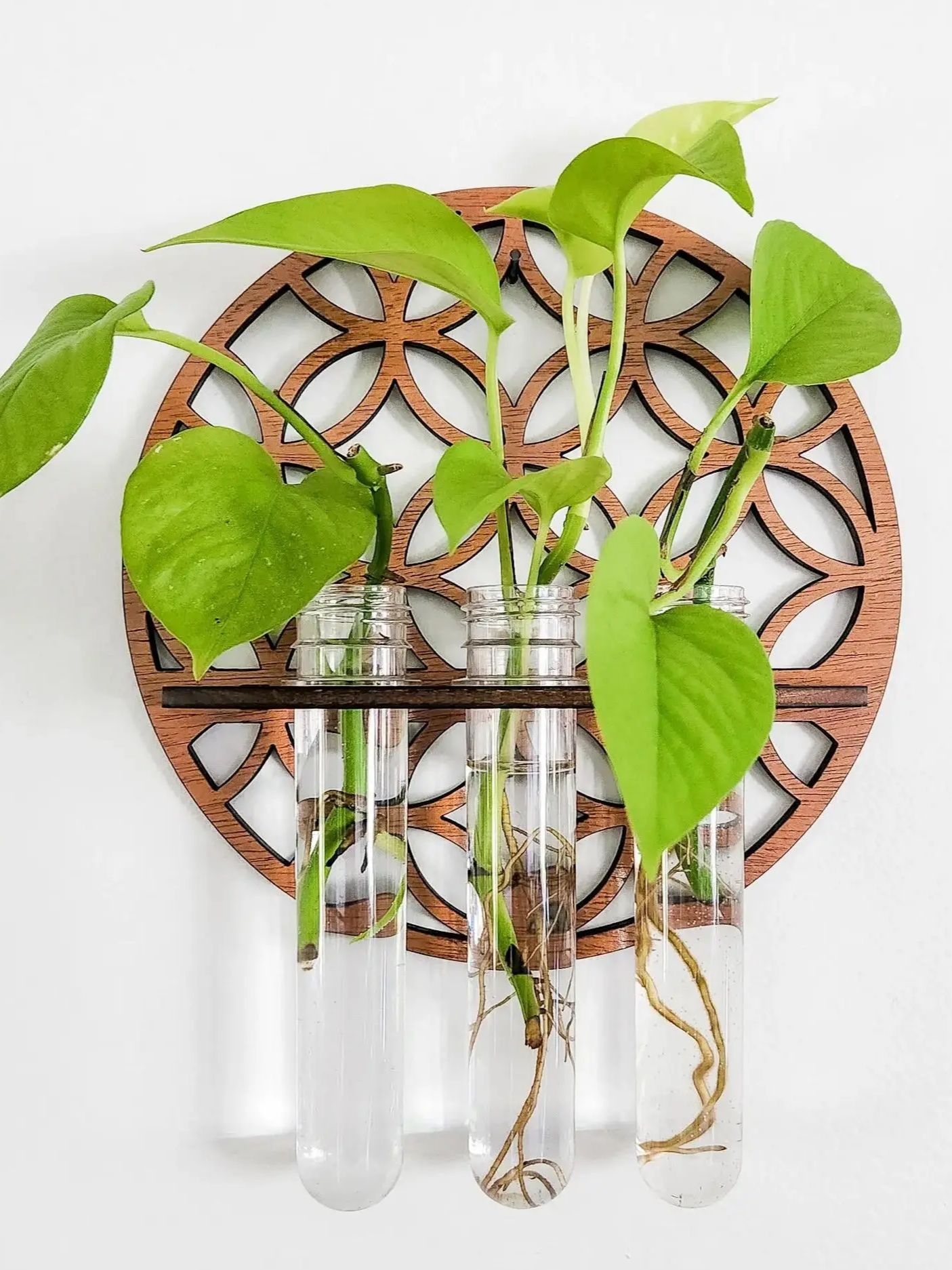 Propagation Station Vase - Ogrodowe donice ścienne Wewnętrzny drewniany wieszak