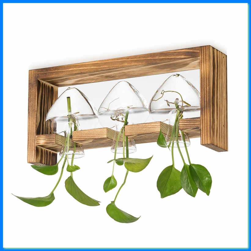 Propagation Station Vase - Szklana stacja do rozmnażania roślin: Zestaw