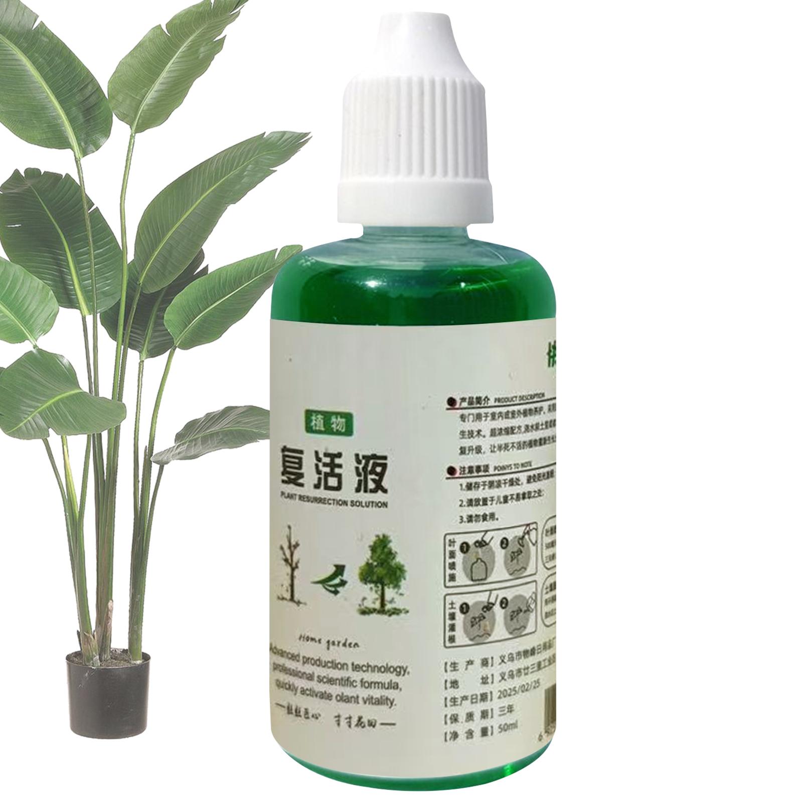 Root Stimulator Liquid - Stymulator Ukorzeniania Płyn do Odrostu Roślin