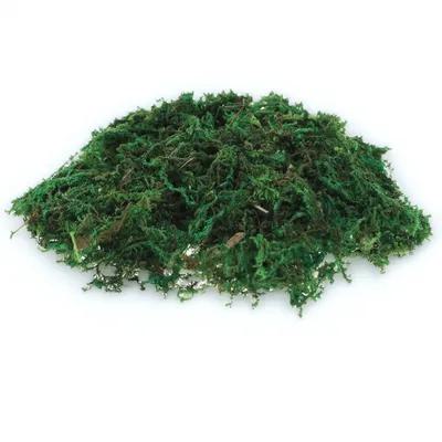 Sphagnum Moss Dry - 1 Opakowanie Naturalnie Wyglądającego Sztucznego Mchu