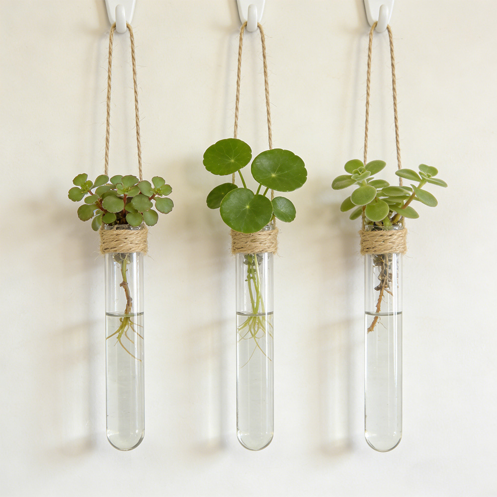 Propagation Station Vase - Wazon hydroponiczny do kwiatów, wiszący na