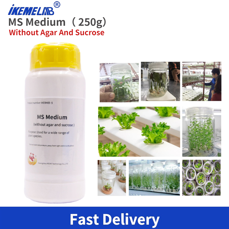 Agar Tissue Culture - IKEME Lab MS Medium 250g Bez