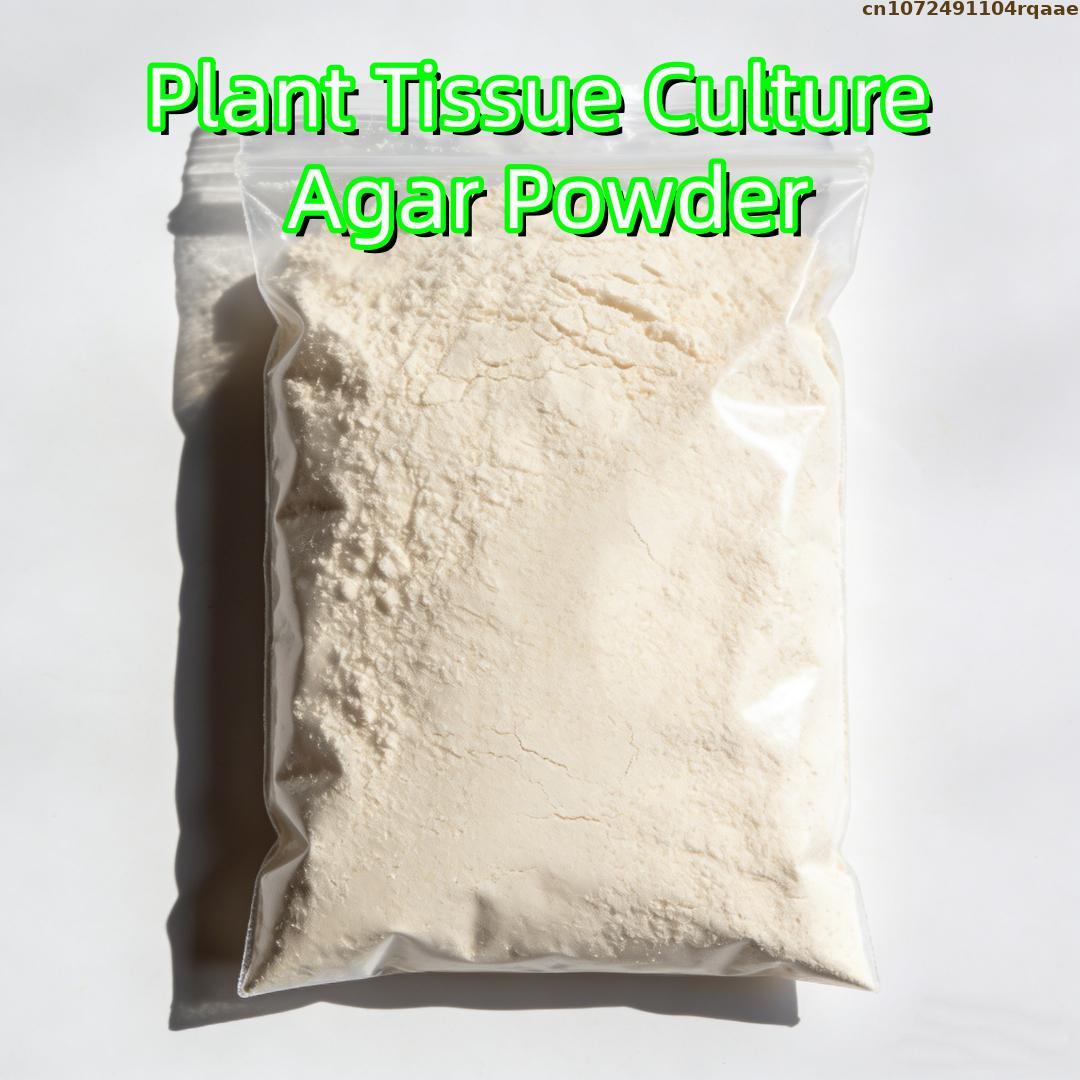 Agar Tissue Culture - Wysokiej jakości agar w proszku do