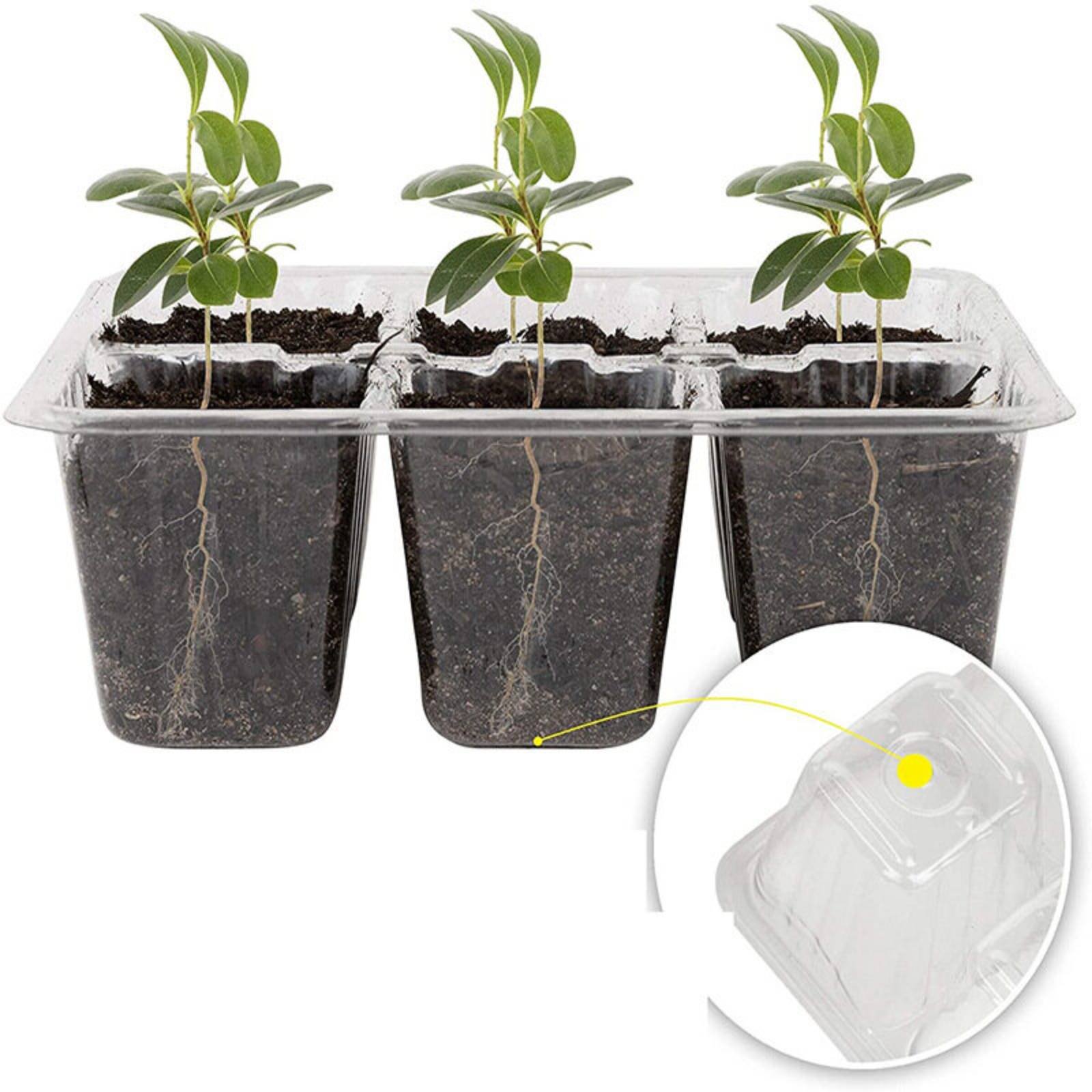 Humidity Dome Kit - Taca do kiełkowania z 12 przegródkami,