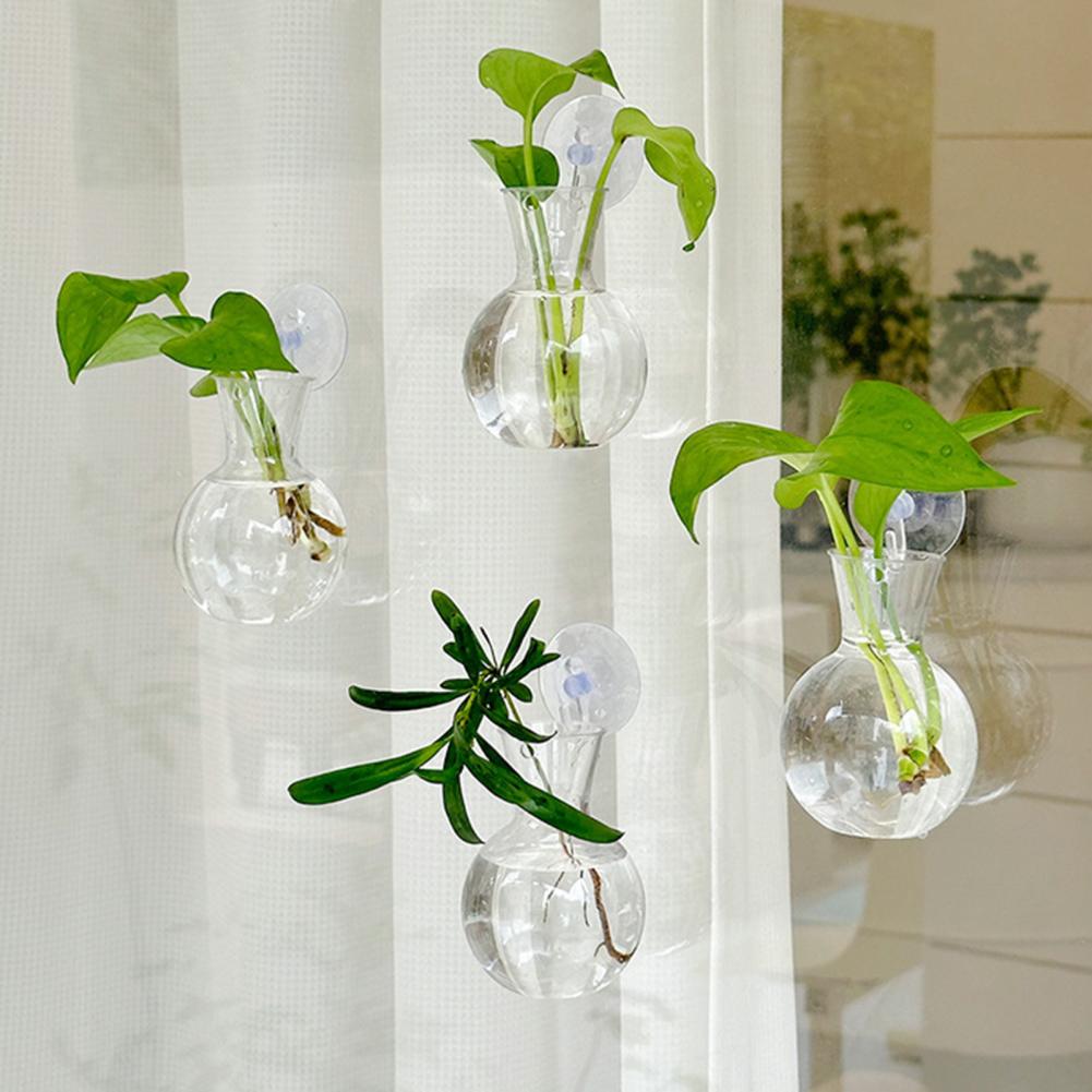 Propagation Station Vase - 1/2/3/4/6/8 szt. Przezroczysta szklanka do rozmnażania