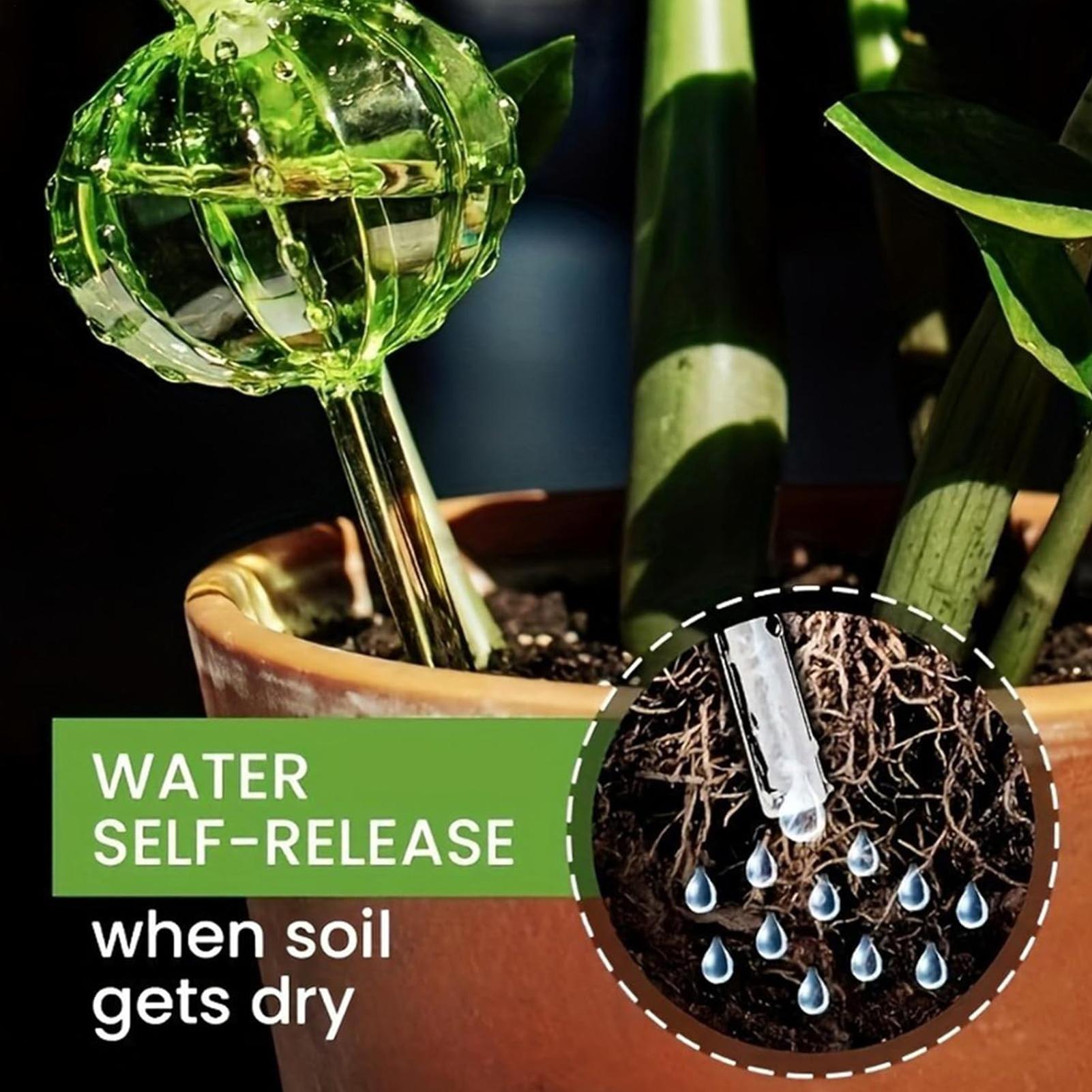 Self Watering Insert - Kolce do podlewania roślin 3 sztuki,