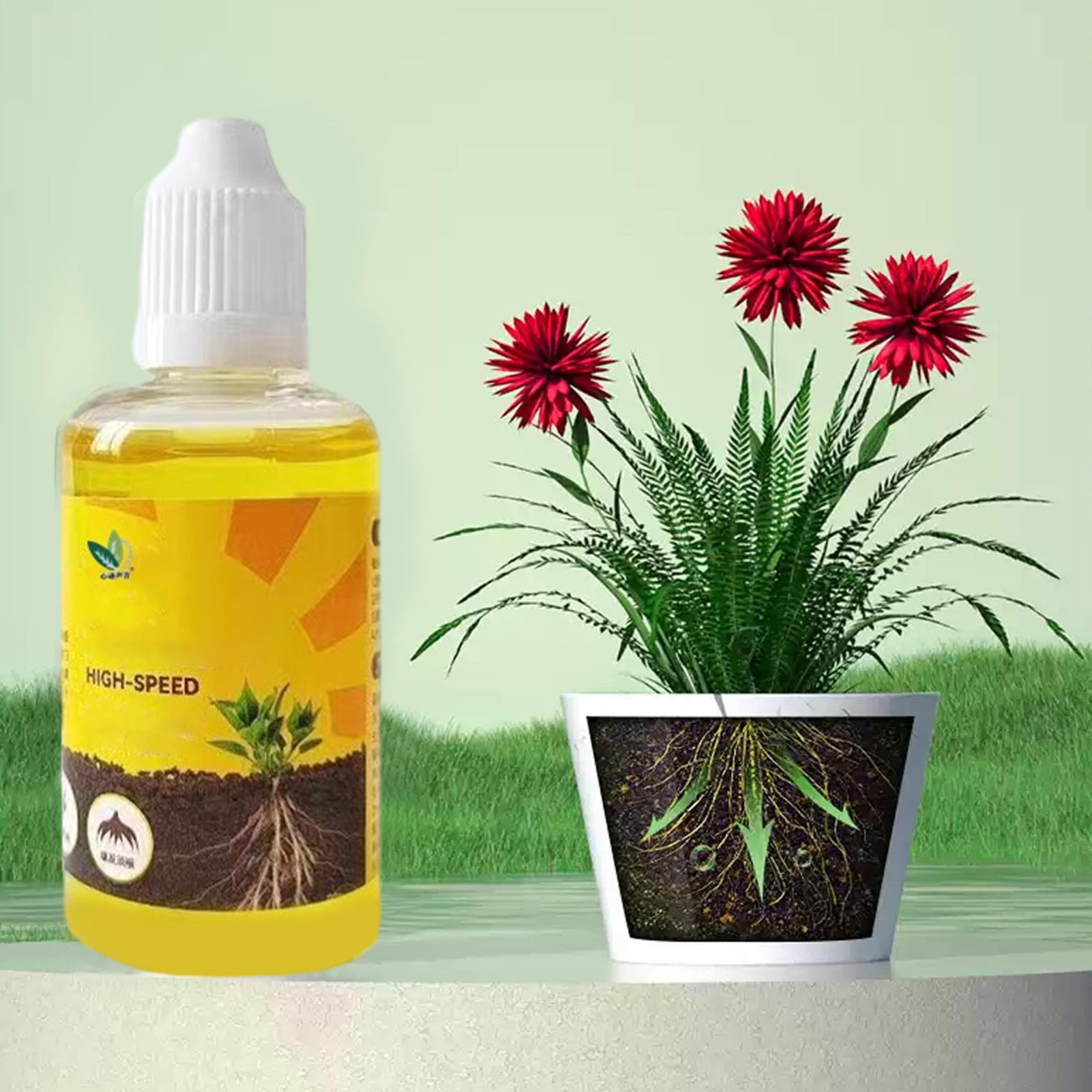 Root Stimulator Liquid - Szybki roztwór do ukorzeniań roślin 50ml,