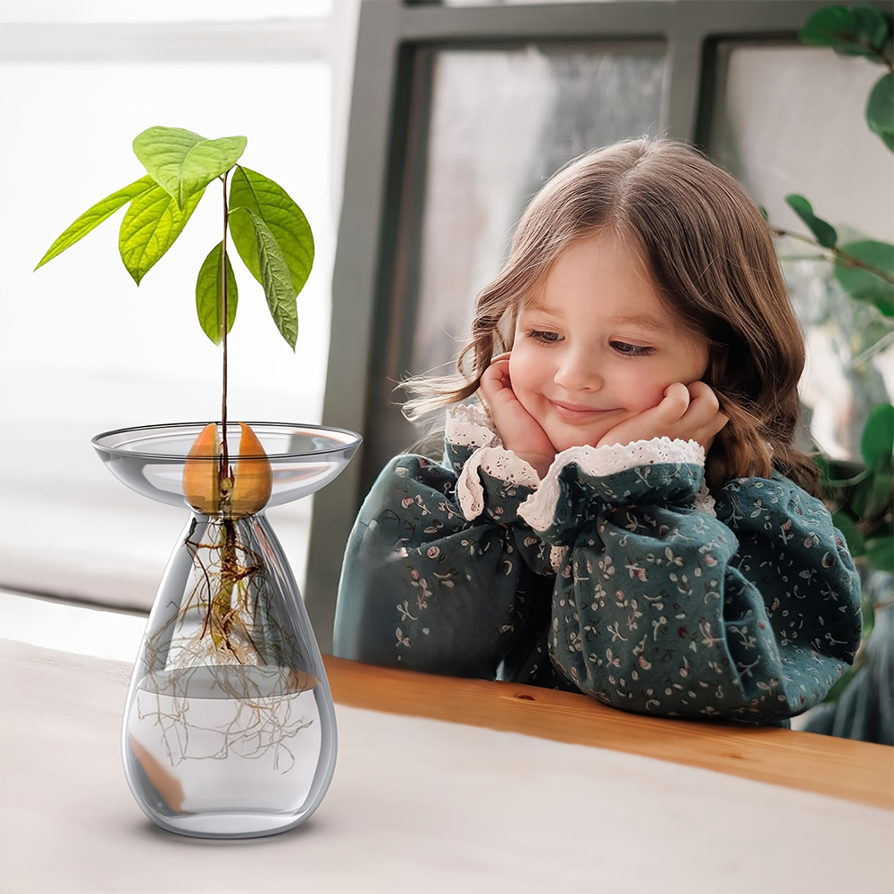 Propagation Station Vase - Wazon do rozsady awokado Przezroczysta stacja