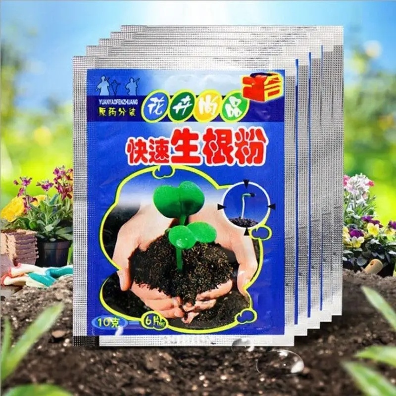 Rooting Hormone Powder - 5 szt. Szybki Proszek do Zacinania