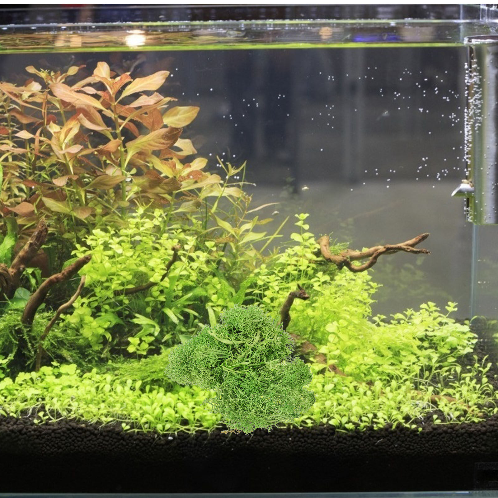 Brązowy mech sphagnum, sztuczn – Sphagnum Moss Dry recenzja i cena