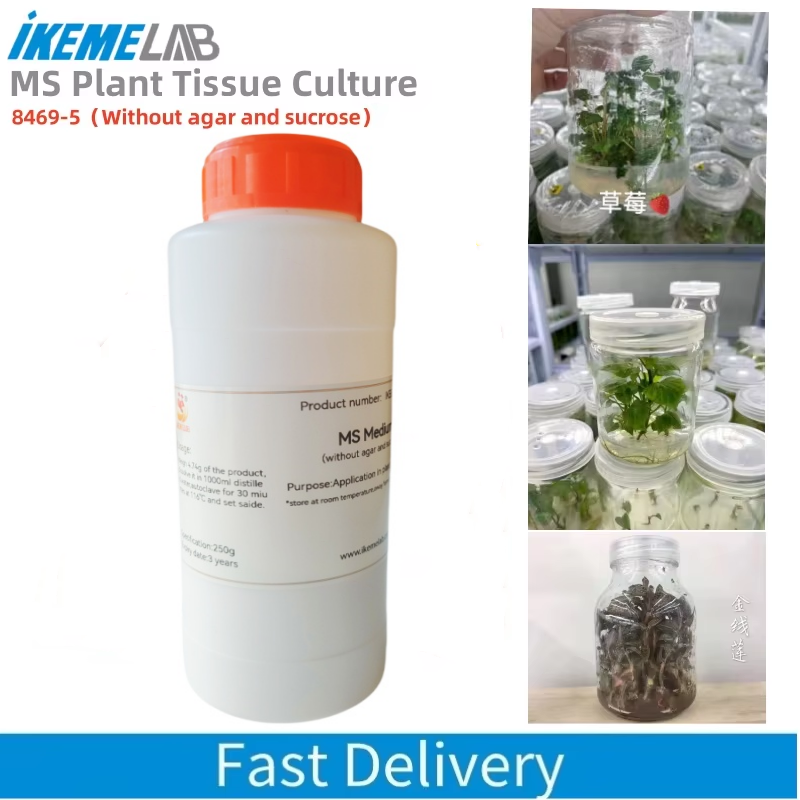 IKEME 250g Lab MS Medium bez a – Agar Tissue Culture recenzja i cena