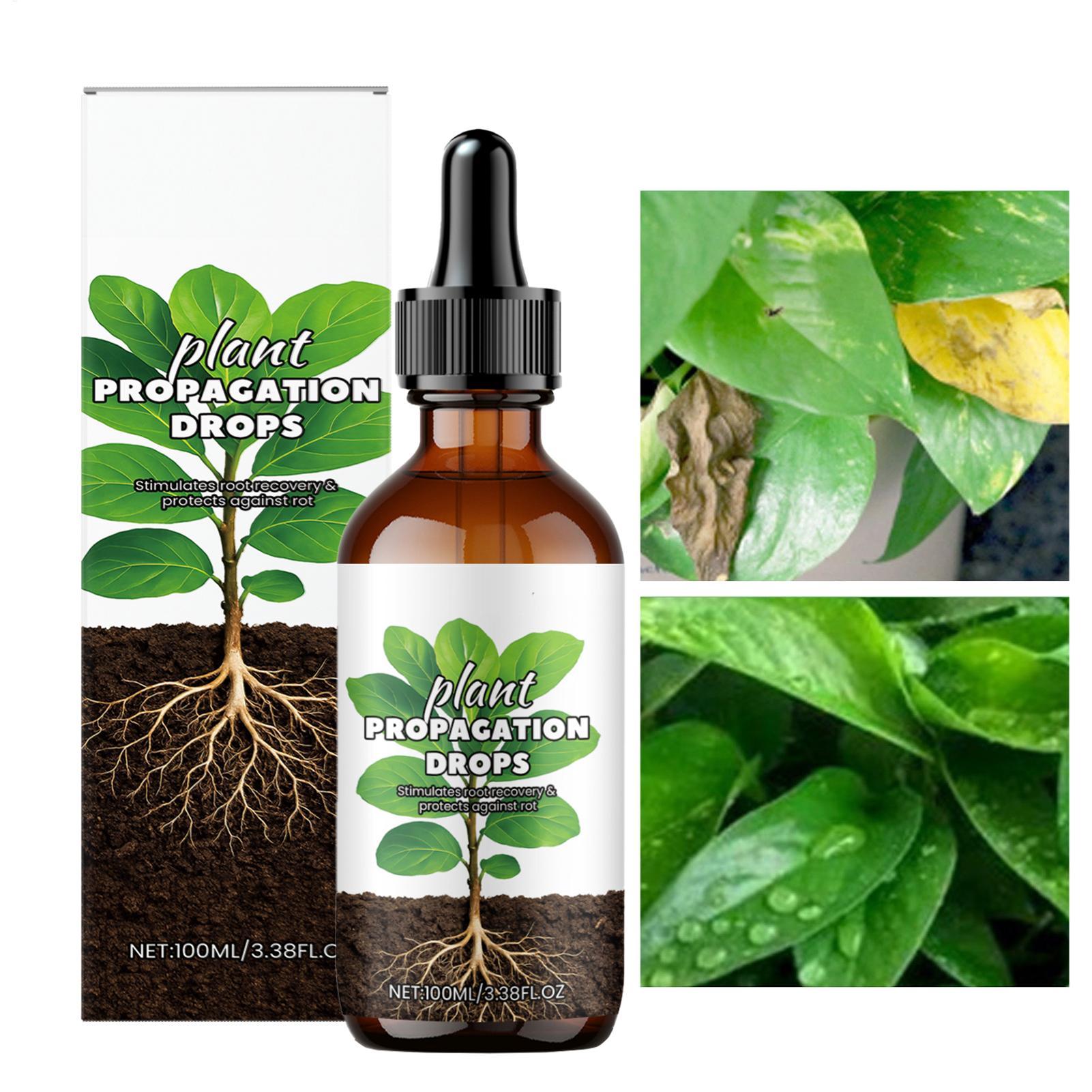 Root Booster 100ml Płynny stym – Root Stimulator Liquid recenzja i cena