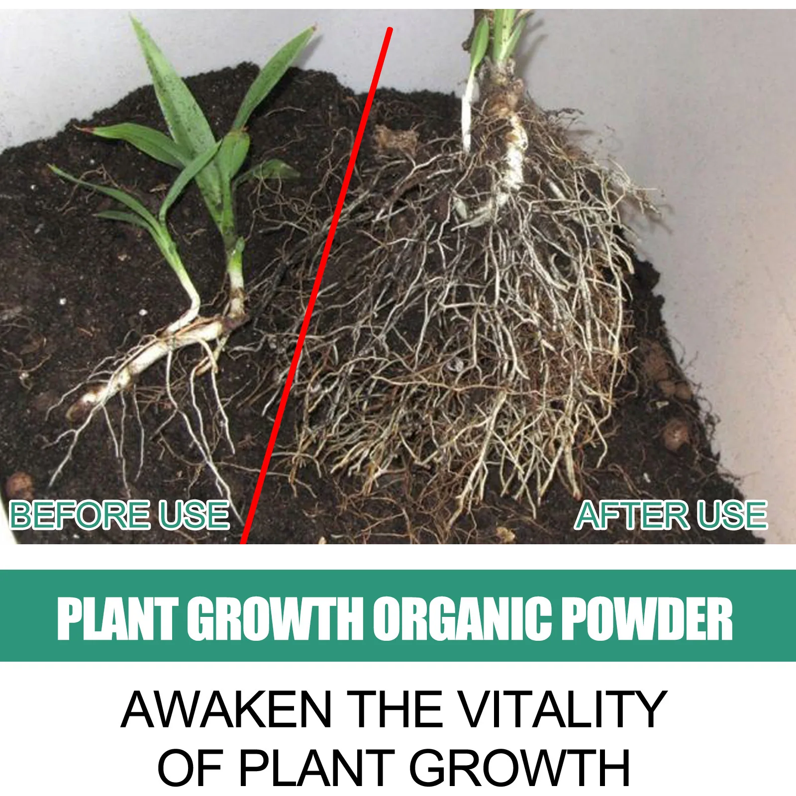 Proszek do szybkiego ukorzenia – Rooting Hormone Powder recenzja i cena