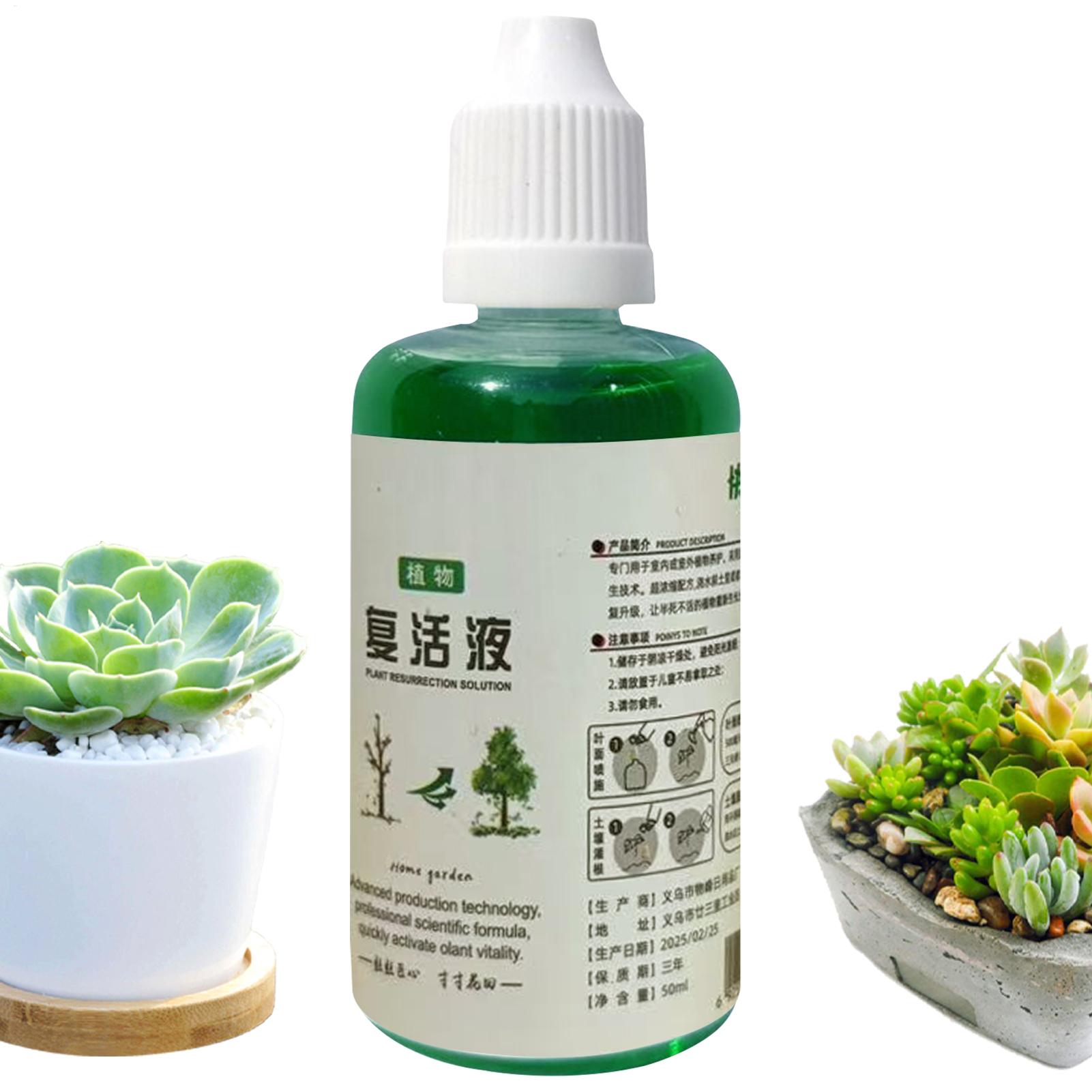 Stymulator Ukorzeniania Płyn d – Root Stimulator Liquid recenzja i cena