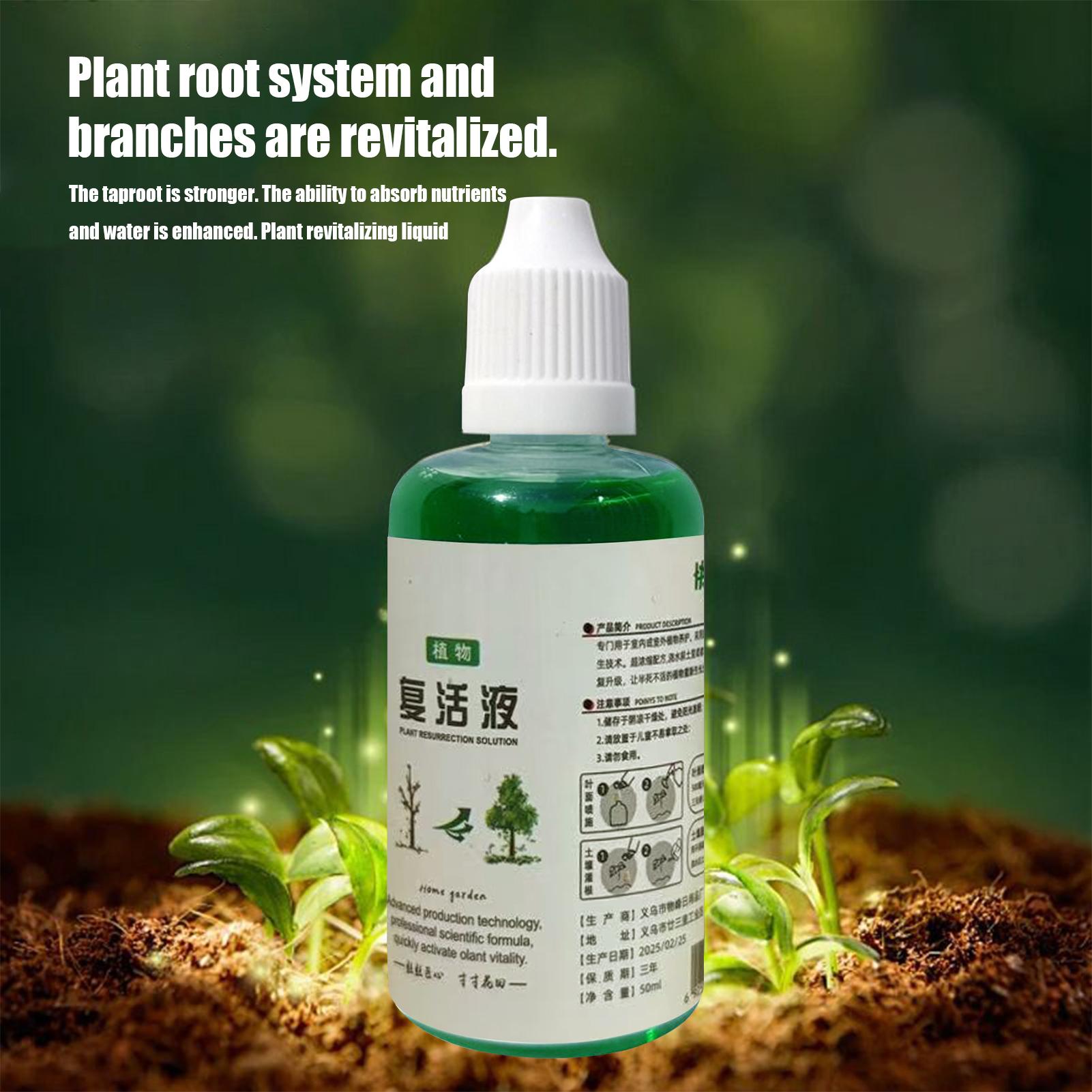 Stymulator Ukorzeniania Płyn d – Root Stimulator Liquid recenzja i cena