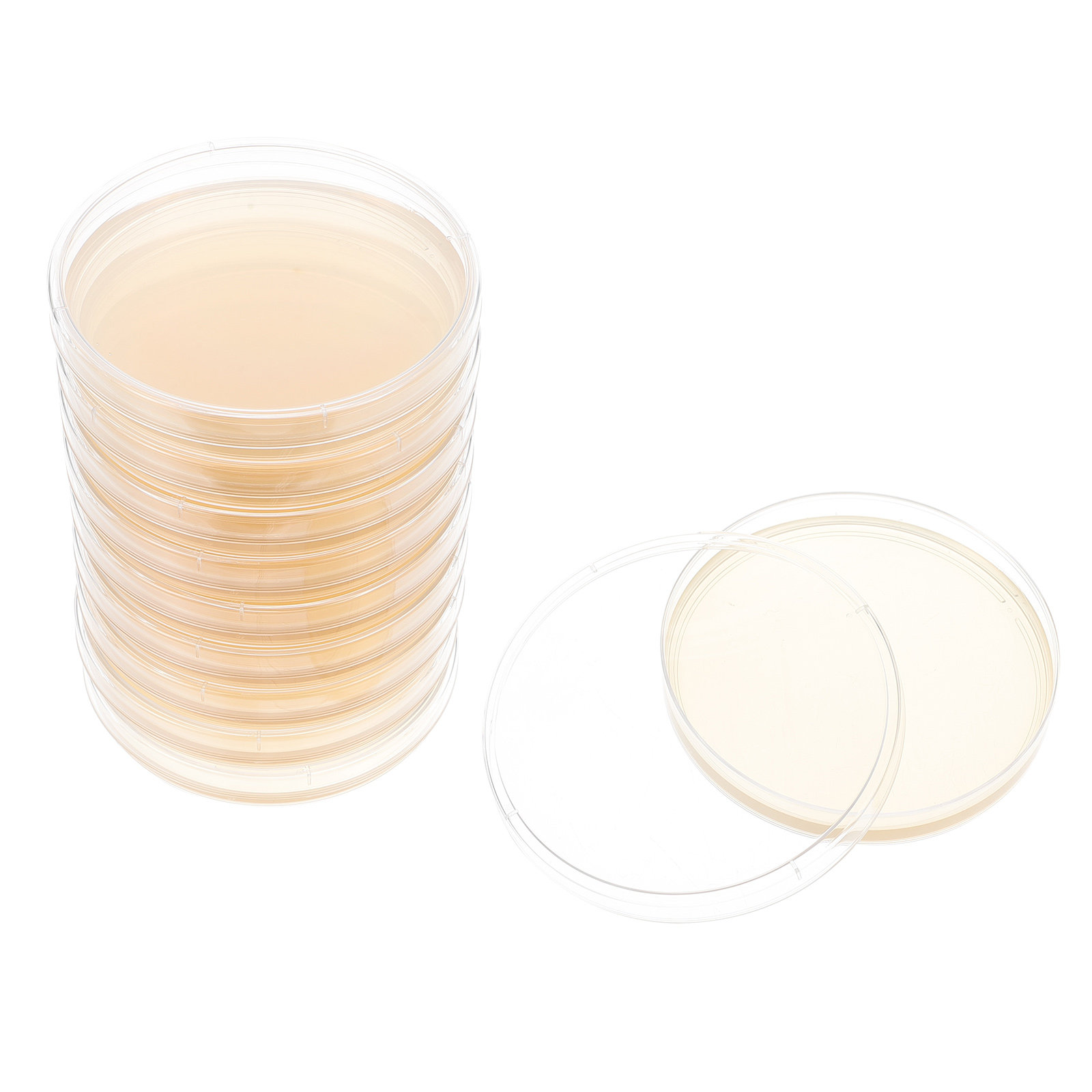 10 szt. Płytki z agarem odżywc – Agar Tissue Culture recenzja i cena