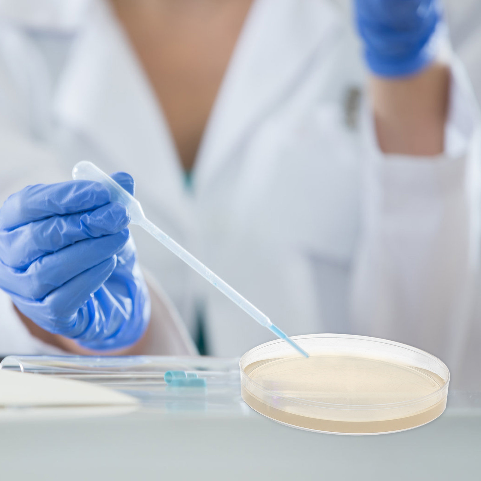 10 szt. Płytki z agarem odżywc – Agar Tissue Culture recenzja i cena