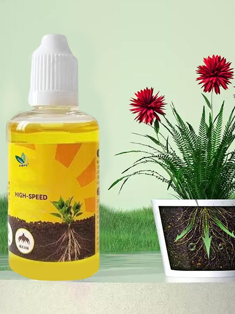 Stymulator ukorzeniań roślin w – Root Stimulator Liquid recenzja i cena