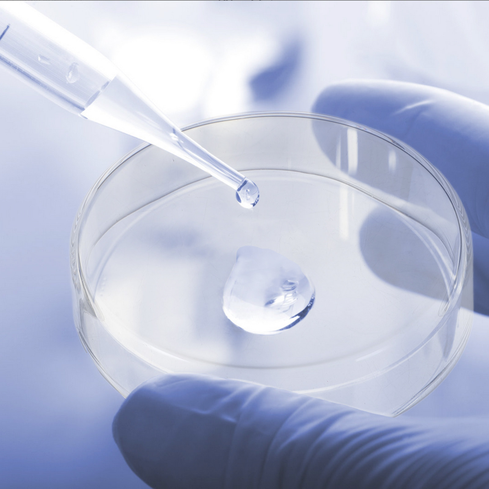 1 Zestaw Grubych Szklanych Sza – Agar Tissue Culture recenzja i cena