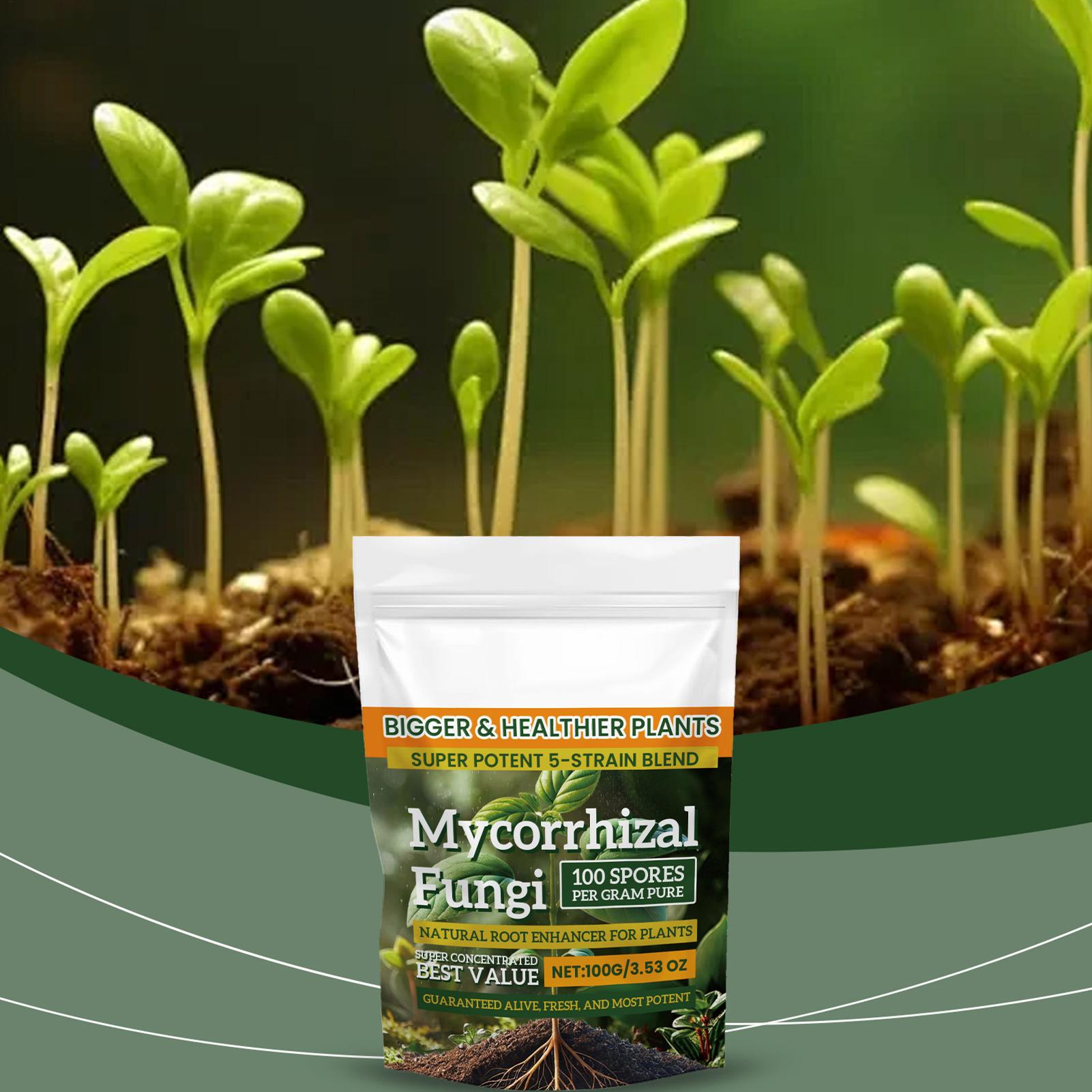 Nowy Proszek Odżywczy dla Rośl – Rooting Hormone Powder recenzja i cena