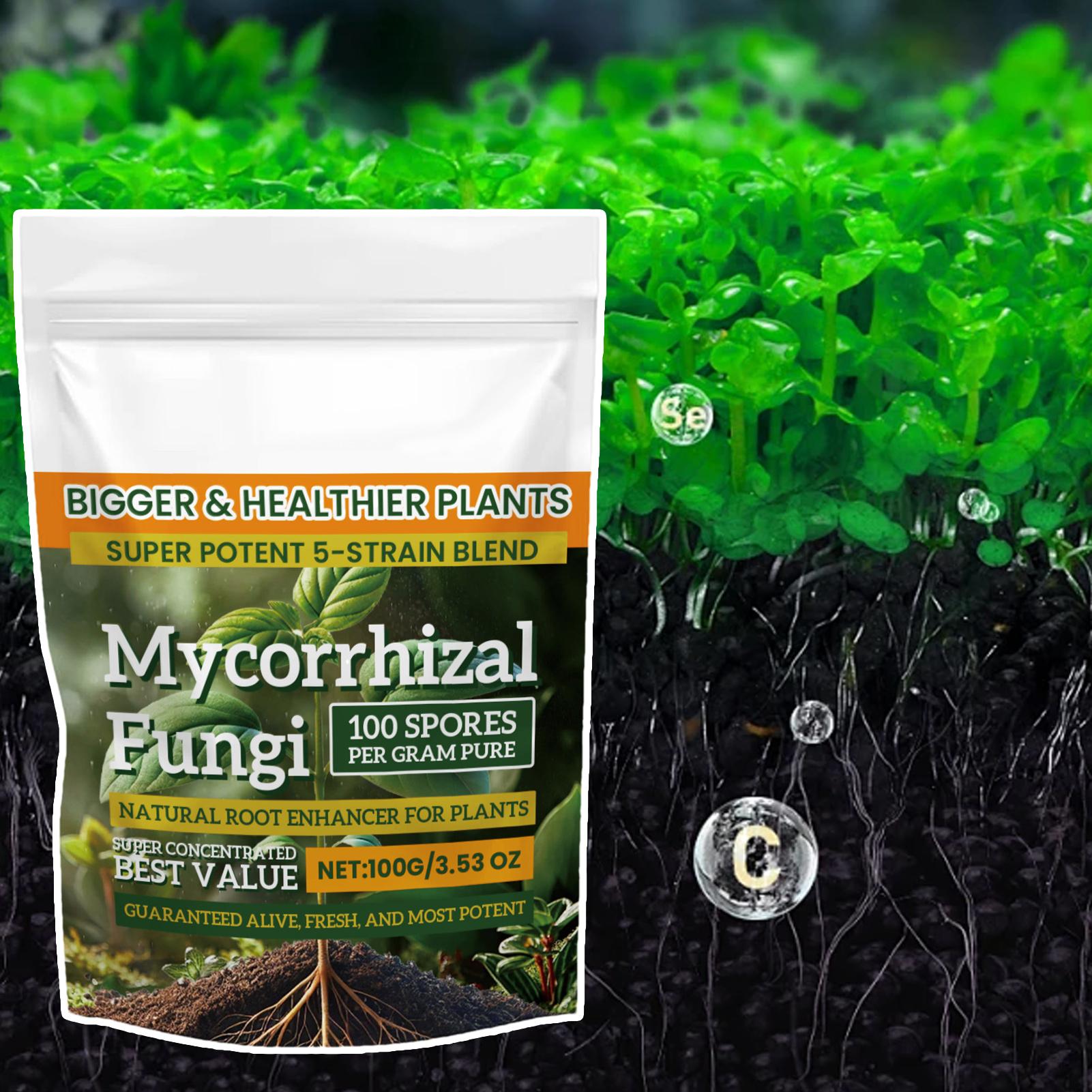 Nowy Proszek Odżywczy dla Rośl – Rooting Hormone Powder recenzja i cena
