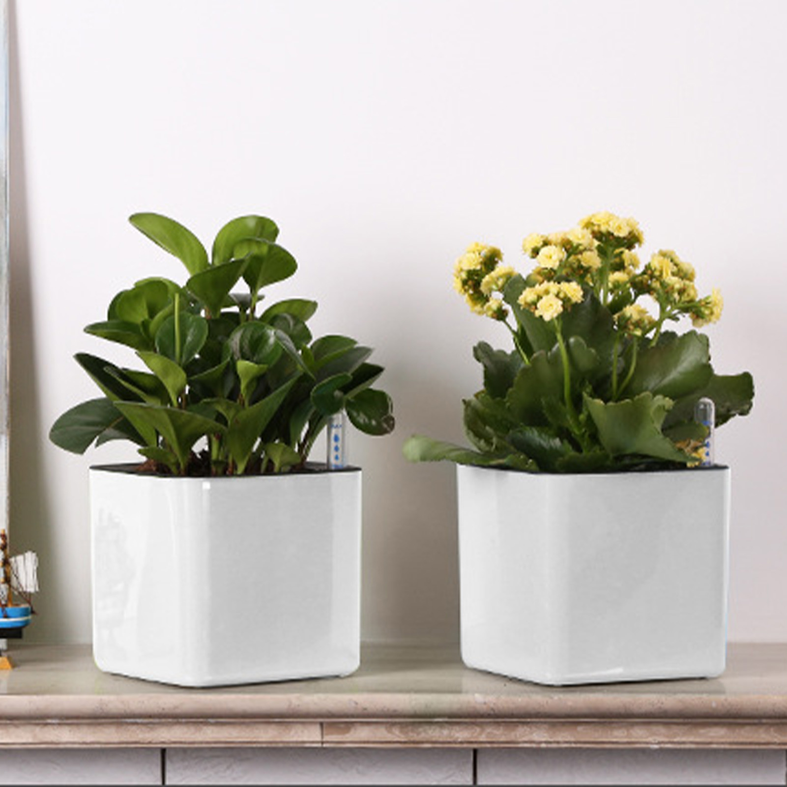 Samonawadniająca doniczka Samo – Self Watering Insert recenzja i cena