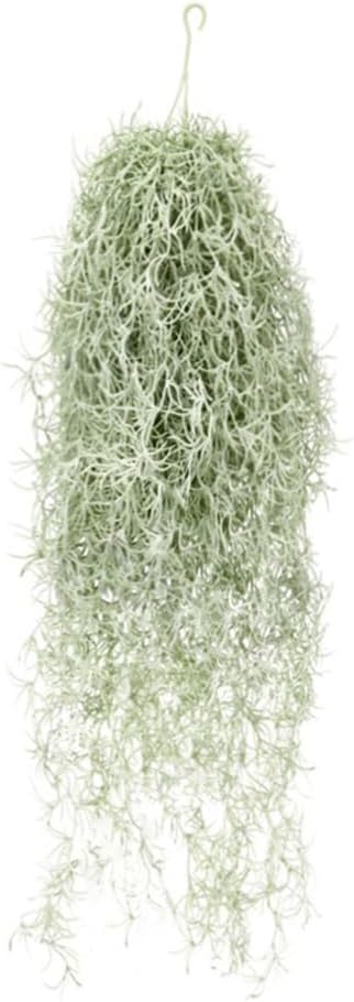 Sztuczne flokowanie Tillandsia – Sphagnum Moss Dry recenzja i cena