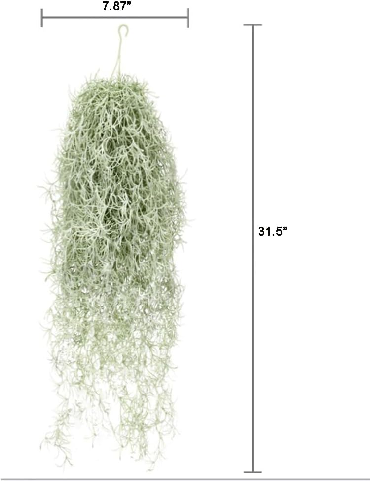 Sztuczne flokowanie Tillandsia – Sphagnum Moss Dry recenzja i cena
