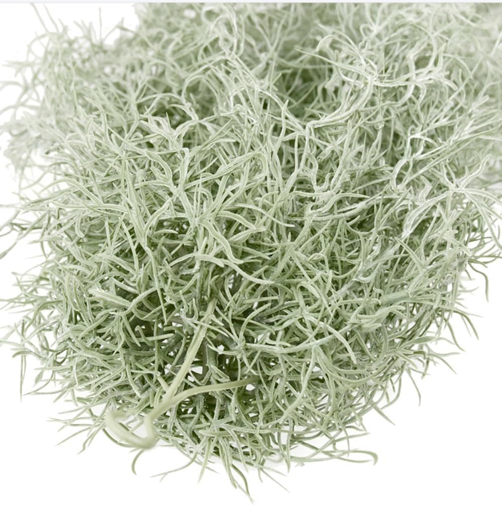 Sztuczne flokowanie Tillandsia – Sphagnum Moss Dry recenzja i cena