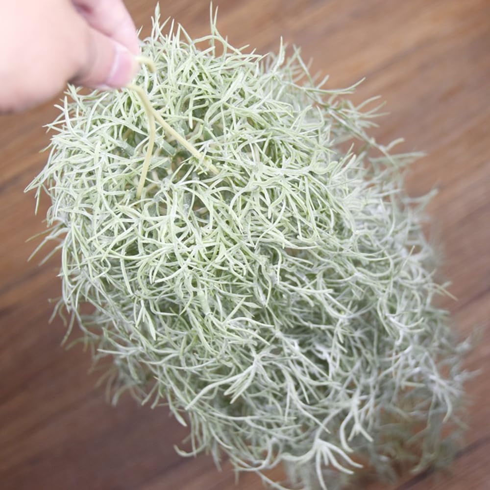 Sztuczne flokowanie Tillandsia – Sphagnum Moss Dry recenzja i cena