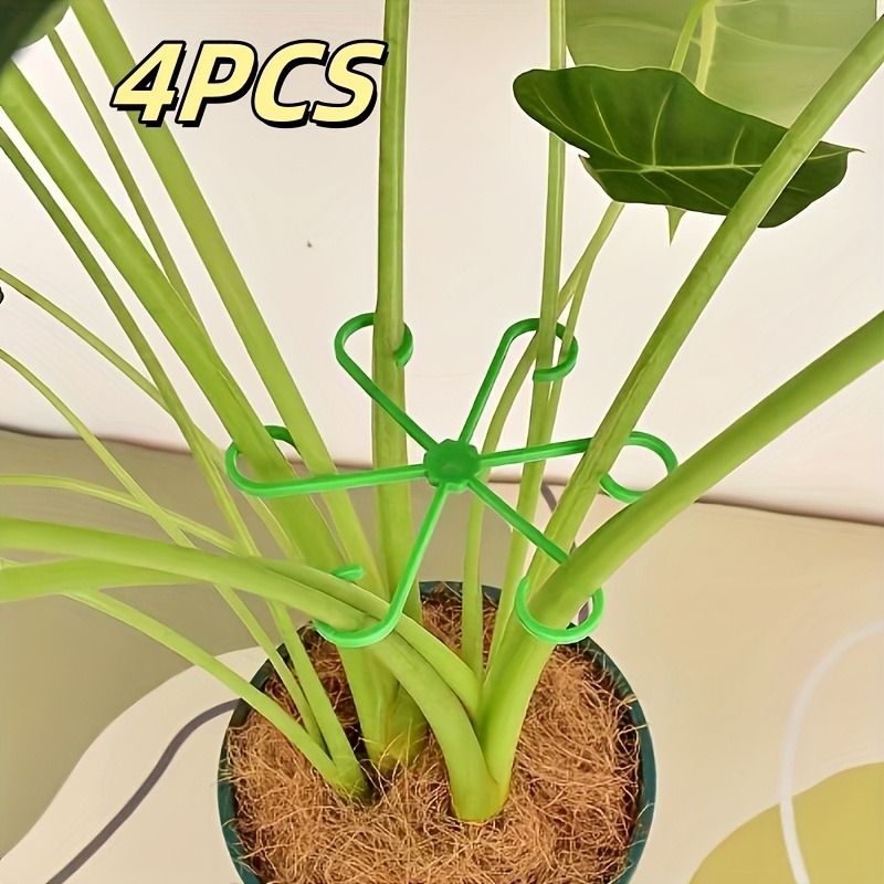 4 szt. Roślina zapobiegająca p – Sphagnum Moss Dry recenzja i cena