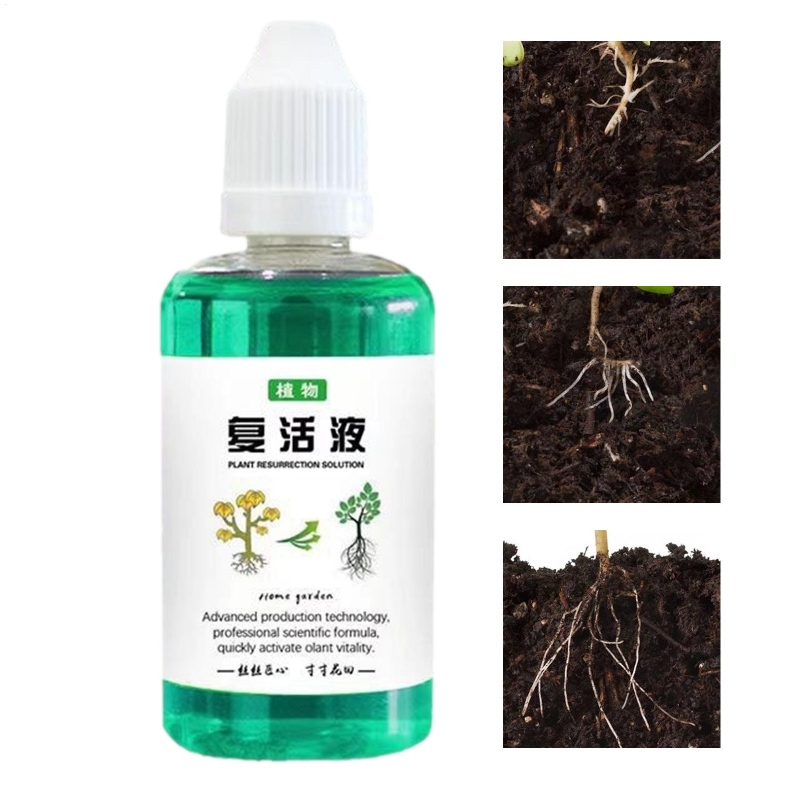 Stymulator rozwoju korzeni dla – Root Stimulator Liquid recenzja i cena