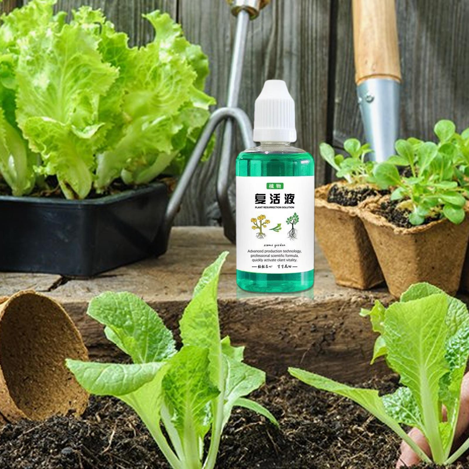 Stymulator rozwoju korzeni dla – Root Stimulator Liquid recenzja i cena