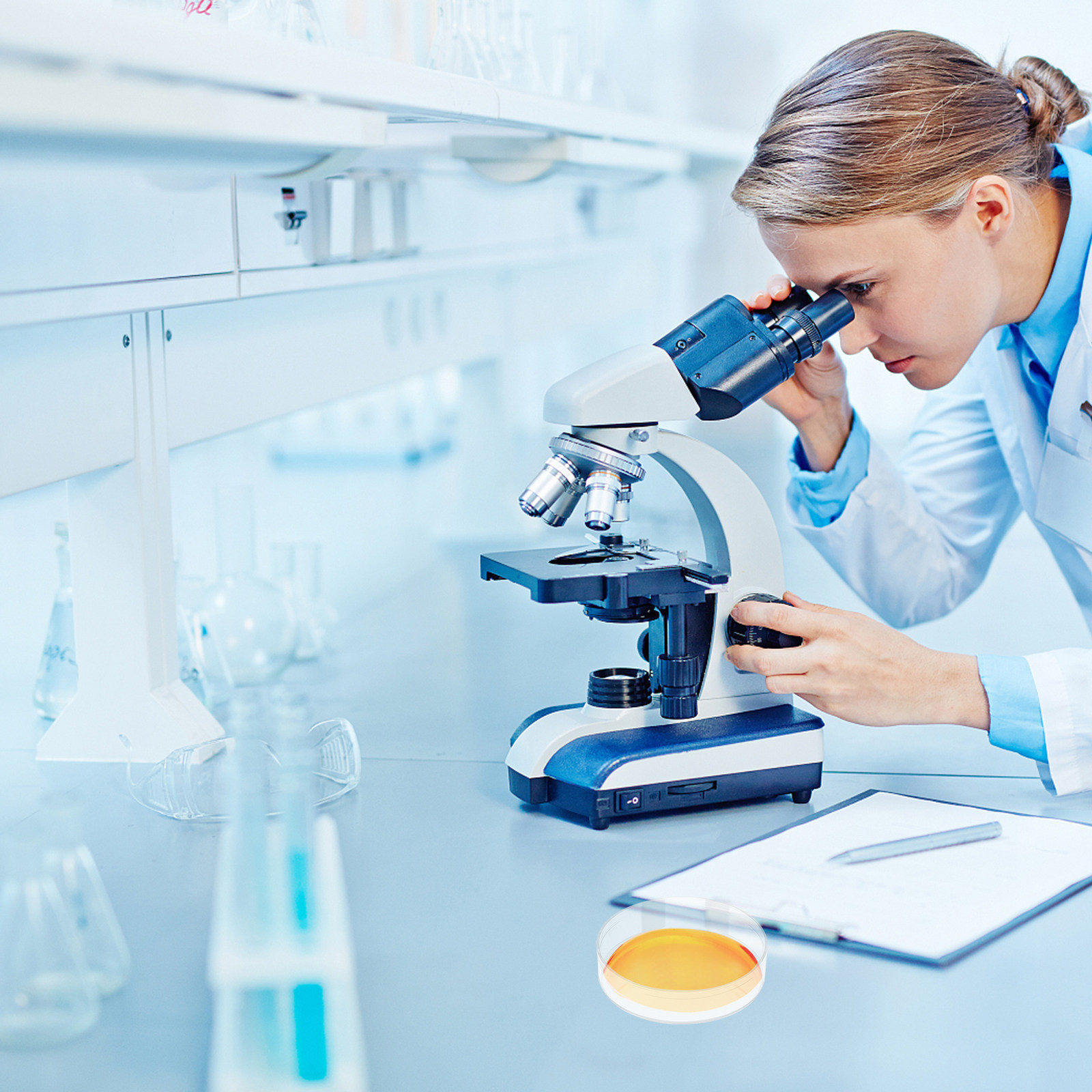 30 szt. Szaleń Petriego Przezr – Agar Tissue Culture recenzja i cena