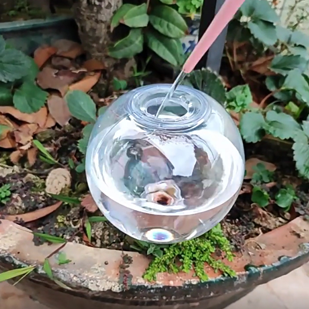 Kule samozraszające 500 ml, sy – Self Watering Insert recenzja i cena