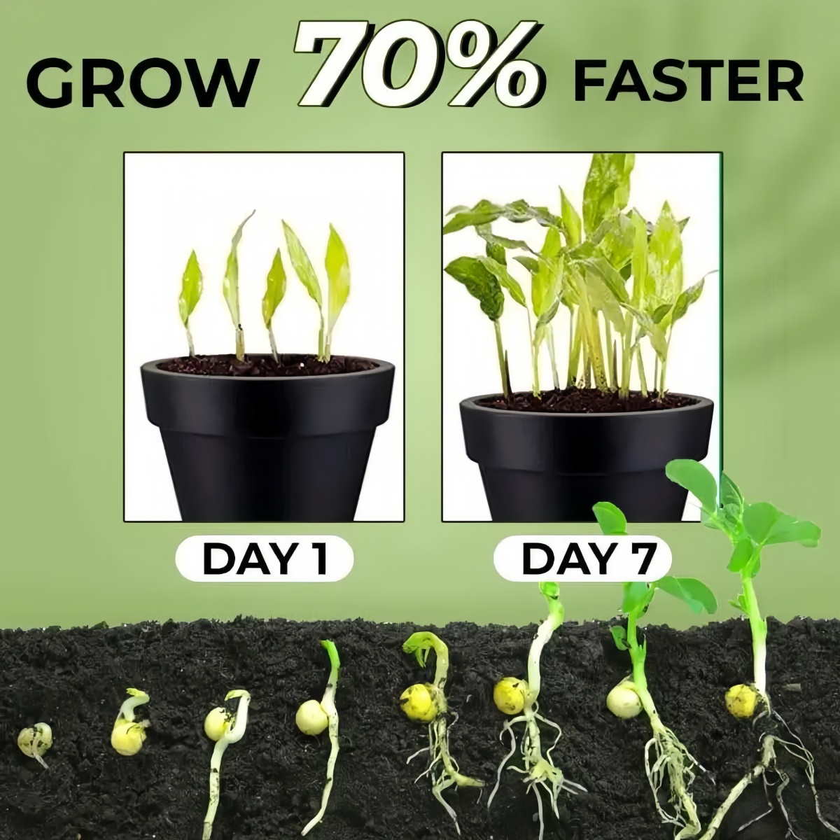 Kwas 3-indolokwasowy IAA Auxin – Rooting Hormone Powder recenzja i cena