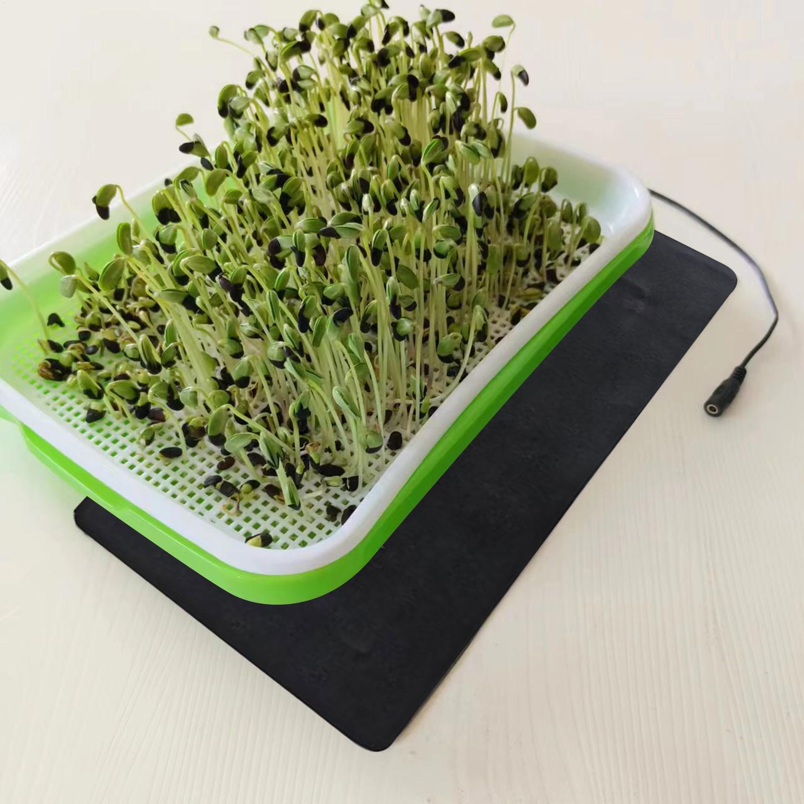 Mata grzewcza dla sadzonek 8.5 – Heat Mat Seedling recenzja i cena
