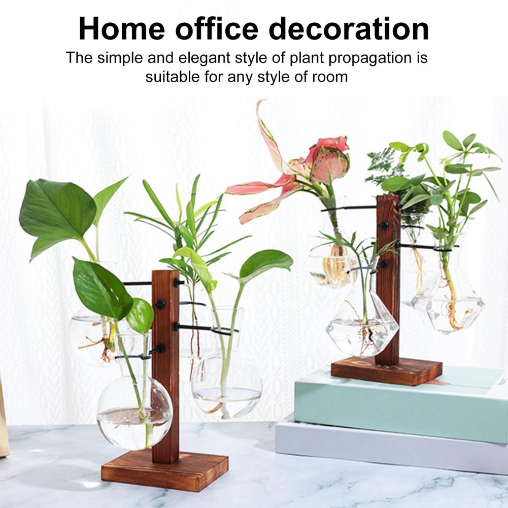 1 zestaw 10*25cm stacja rozmna – Propagation Station Vase recenzja i cena