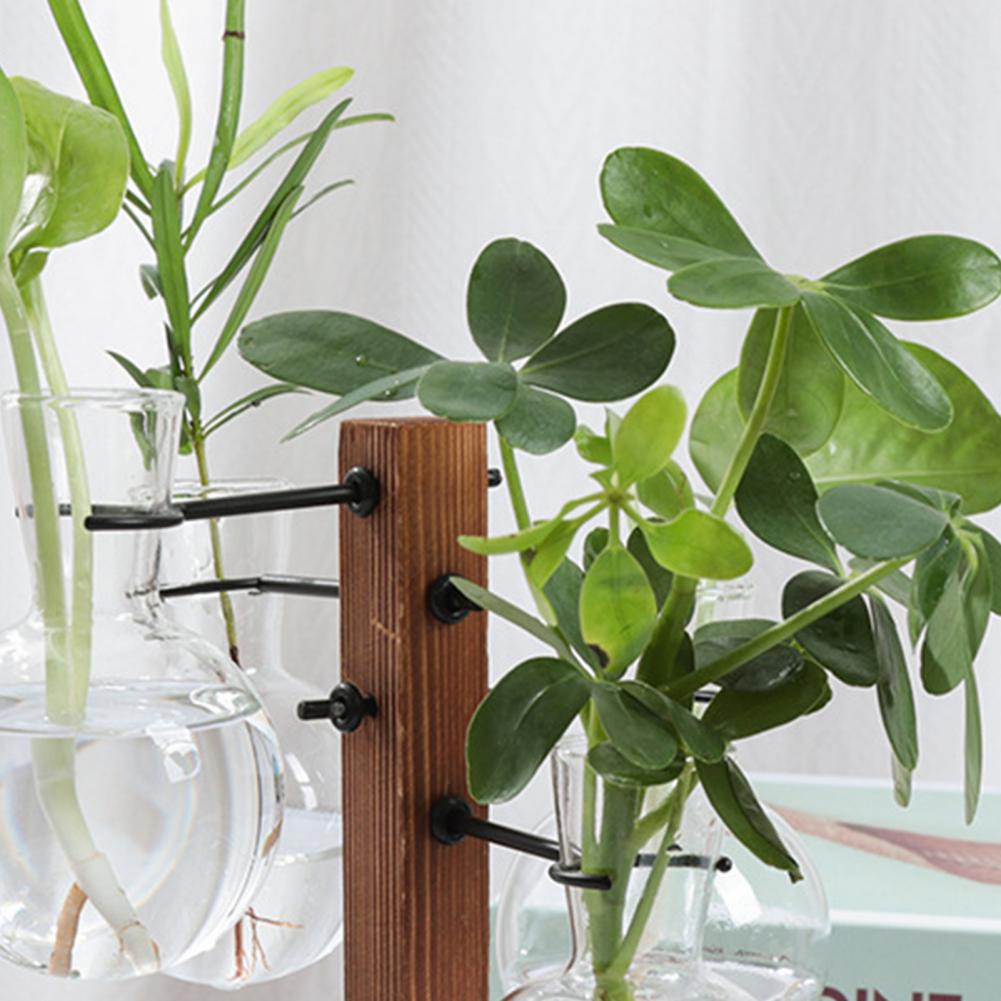 1 zestaw 10*25cm stacja rozmna – Propagation Station Vase recenzja i cena