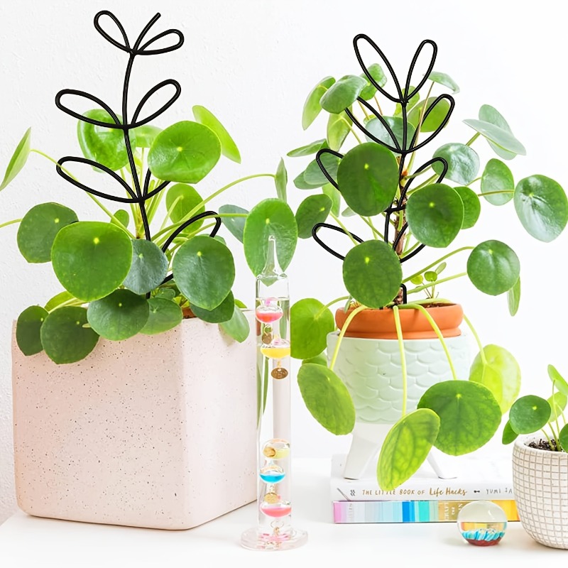 3 szt. Stelażów podtrzymującyc – Sphagnum Moss Dry recenzja i cena