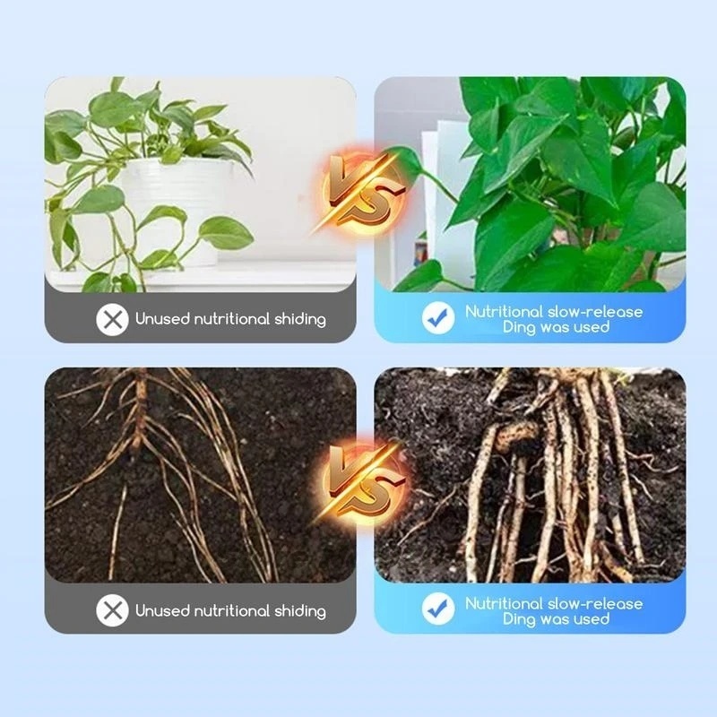 500g Hormon ukorzeniający o wy – Rooting Hormone Powder recenzja i cena