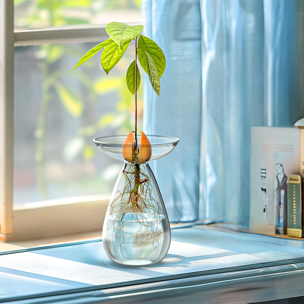 Wazon do rozsady awokado Przez – Propagation Station Vase recenzja i cena