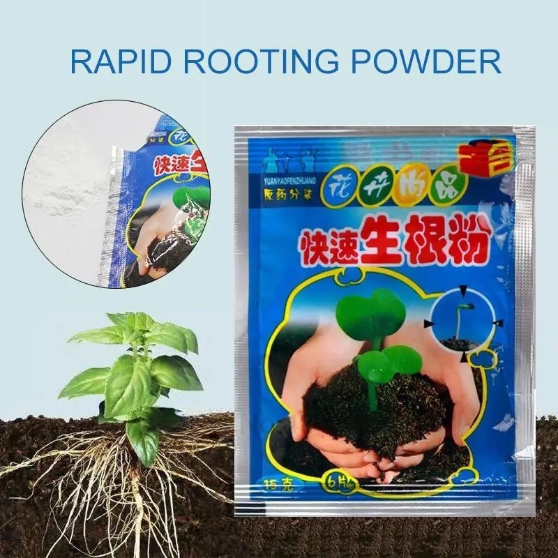 5 szt. Szybki Proszek do Zacin – Rooting Hormone Powder recenzja i cena