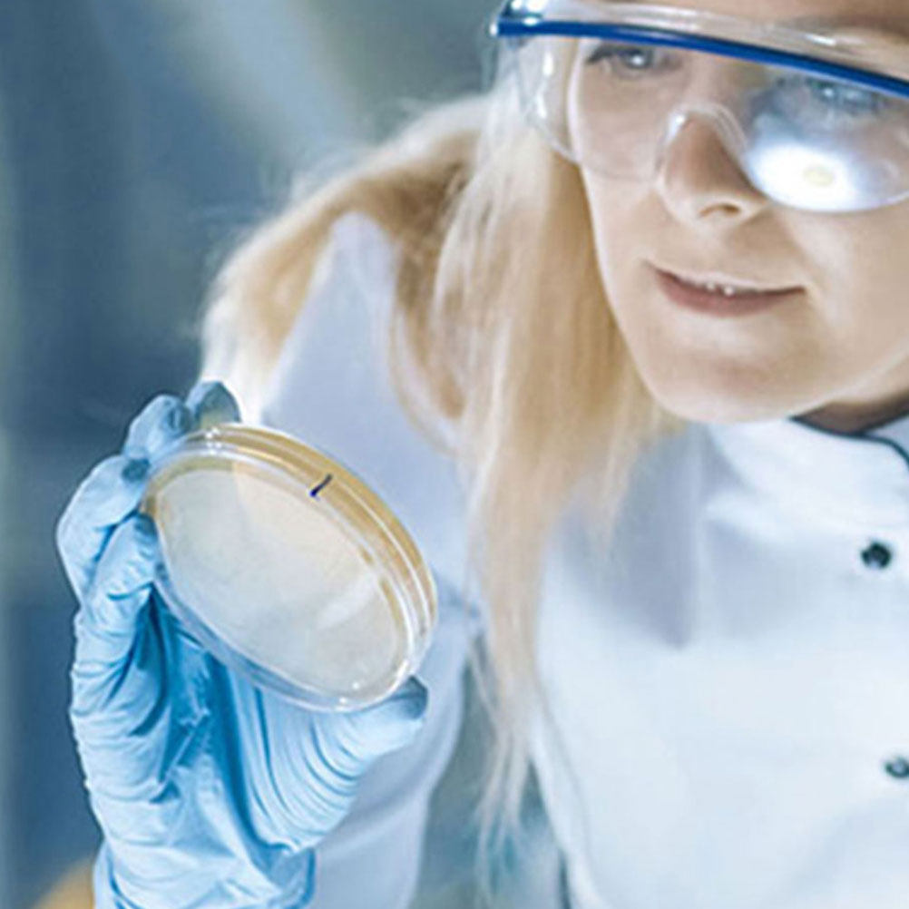 10 szt. Plastikowe szalki Petr – Agar Tissue Culture recenzja i cena