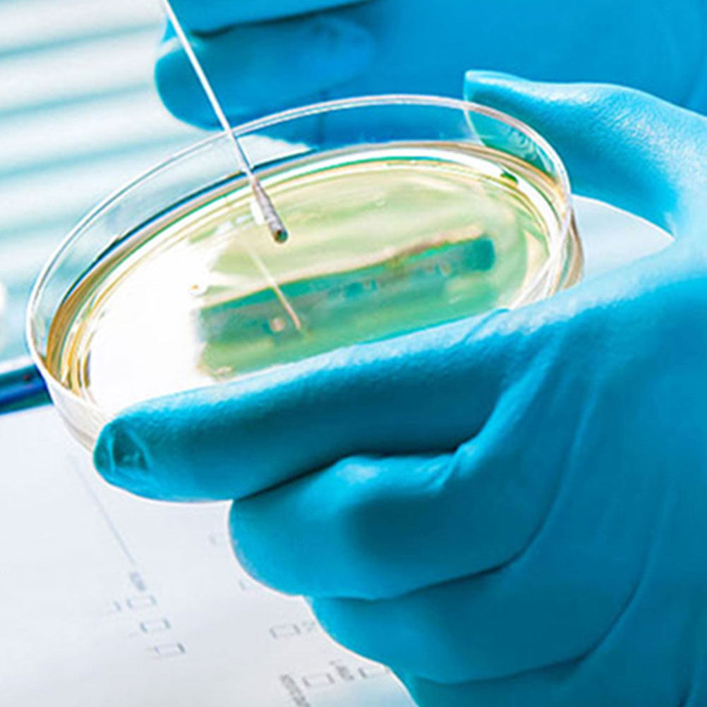 10 szt. Plastikowe szalki Petr – Agar Tissue Culture recenzja i cena