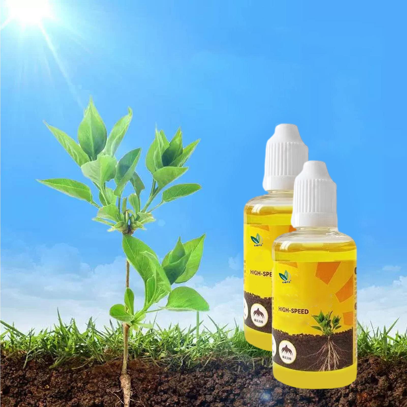 Szybki rozkwiet i wzrost korze – Root Stimulator Liquid recenzja i cena