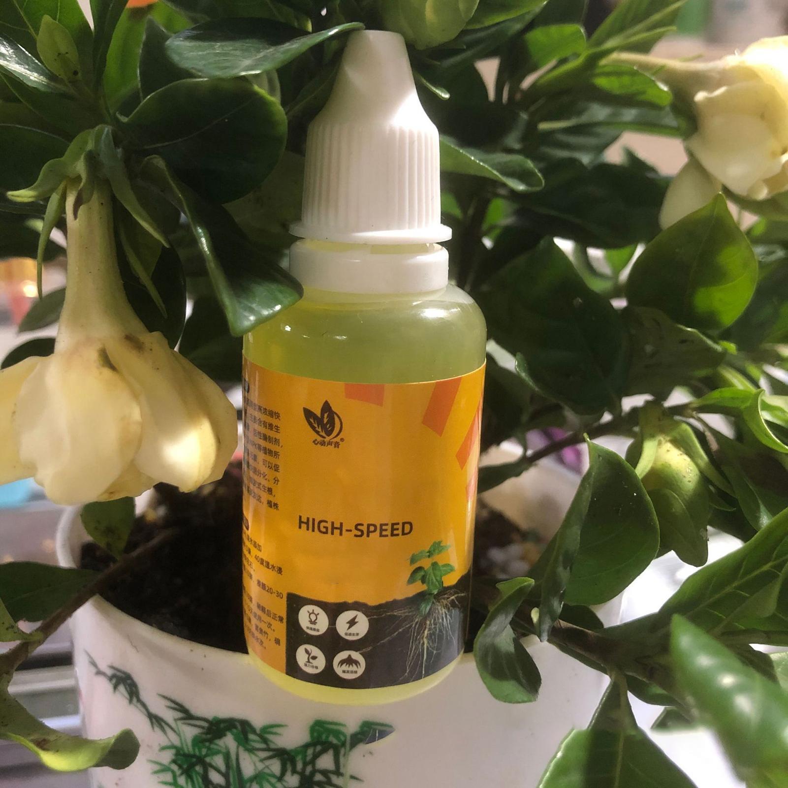 Szybki rozkwiet i wzrost korze – Root Stimulator Liquid recenzja i cena