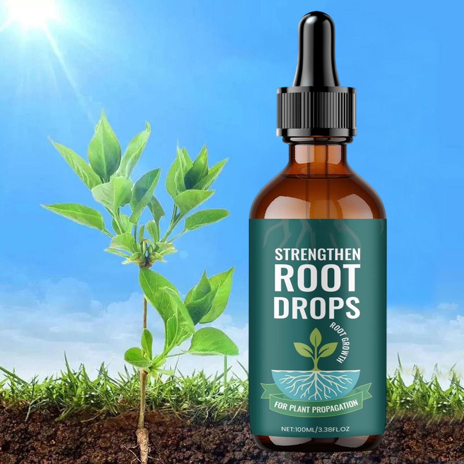 100ml Płyn do ukorzeniań rośli – Root Stimulator Liquid recenzja i cena